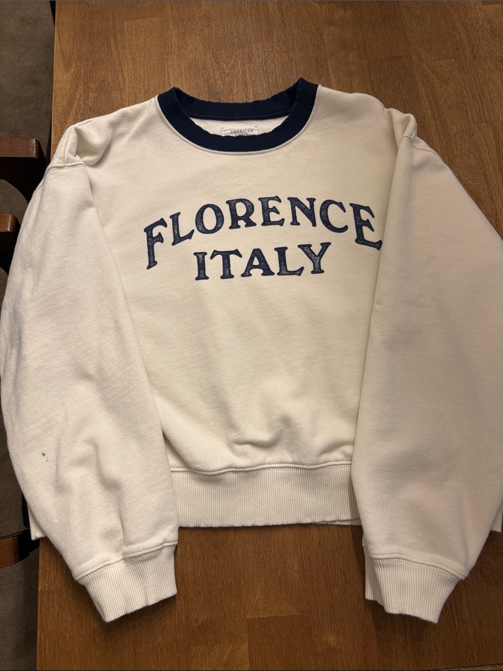 American Eagle Outfitters Cream Crewneck Sweatshirt with Navy Appliqué